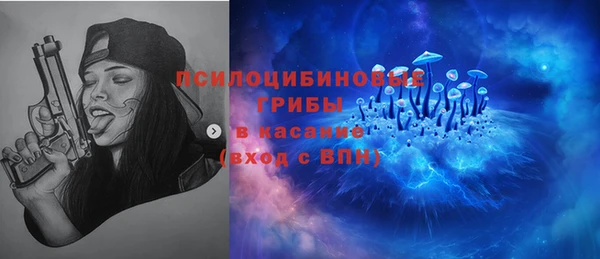 гашик Богородск