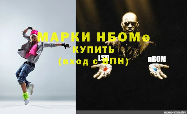 гашик Богородск