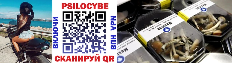 где продают   Беслан  Галлюциногенные грибы мухоморы 