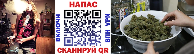 Бошки марихуана ГИДРОПОН  где продают наркотики  Беслан 